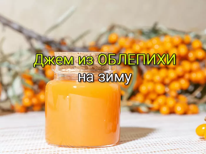 Джем из облепихи на зиму, простой рецепт