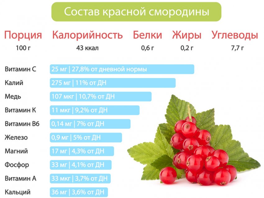 красная смородина содержит