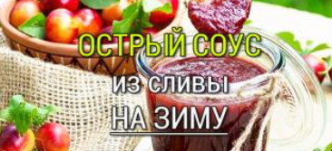 острый соус из сливы на зиму
