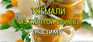 ткемали из сливы на зиму