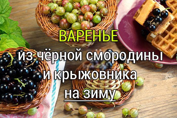 крыжовник и чёрная смородина варенье