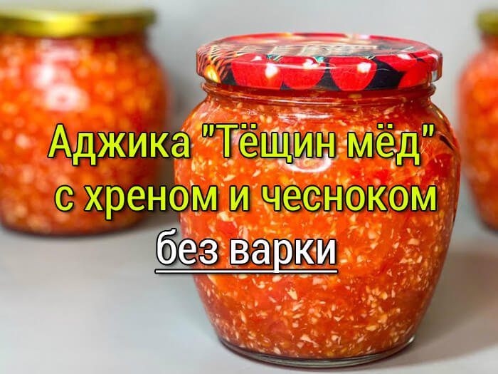 аджика без варки тёщин мёд