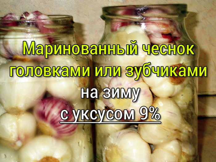 маринованный чеснок на зиму