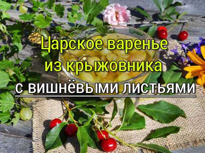 Царское варенье из крыжовника 