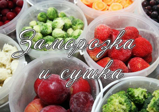 заморозка и сушка на зиму