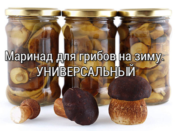 универсальный маринад для грибов